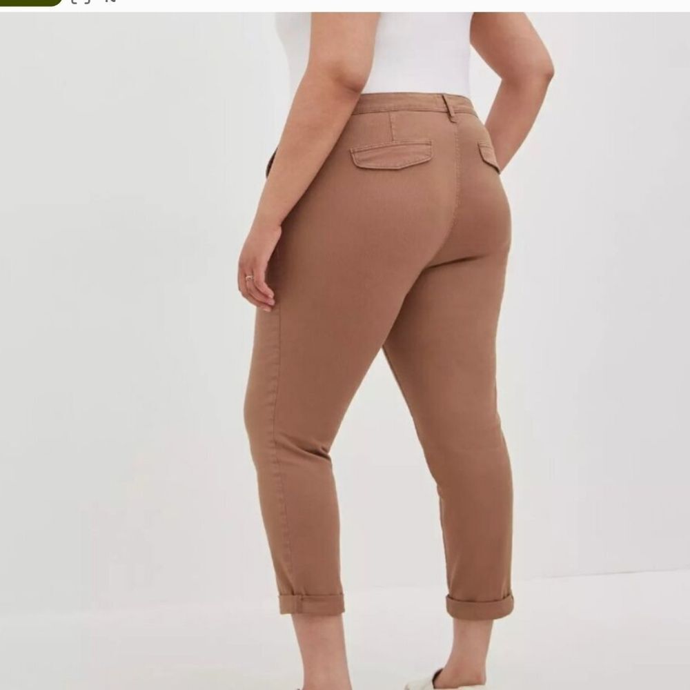 Torrid Brown Women's Pants